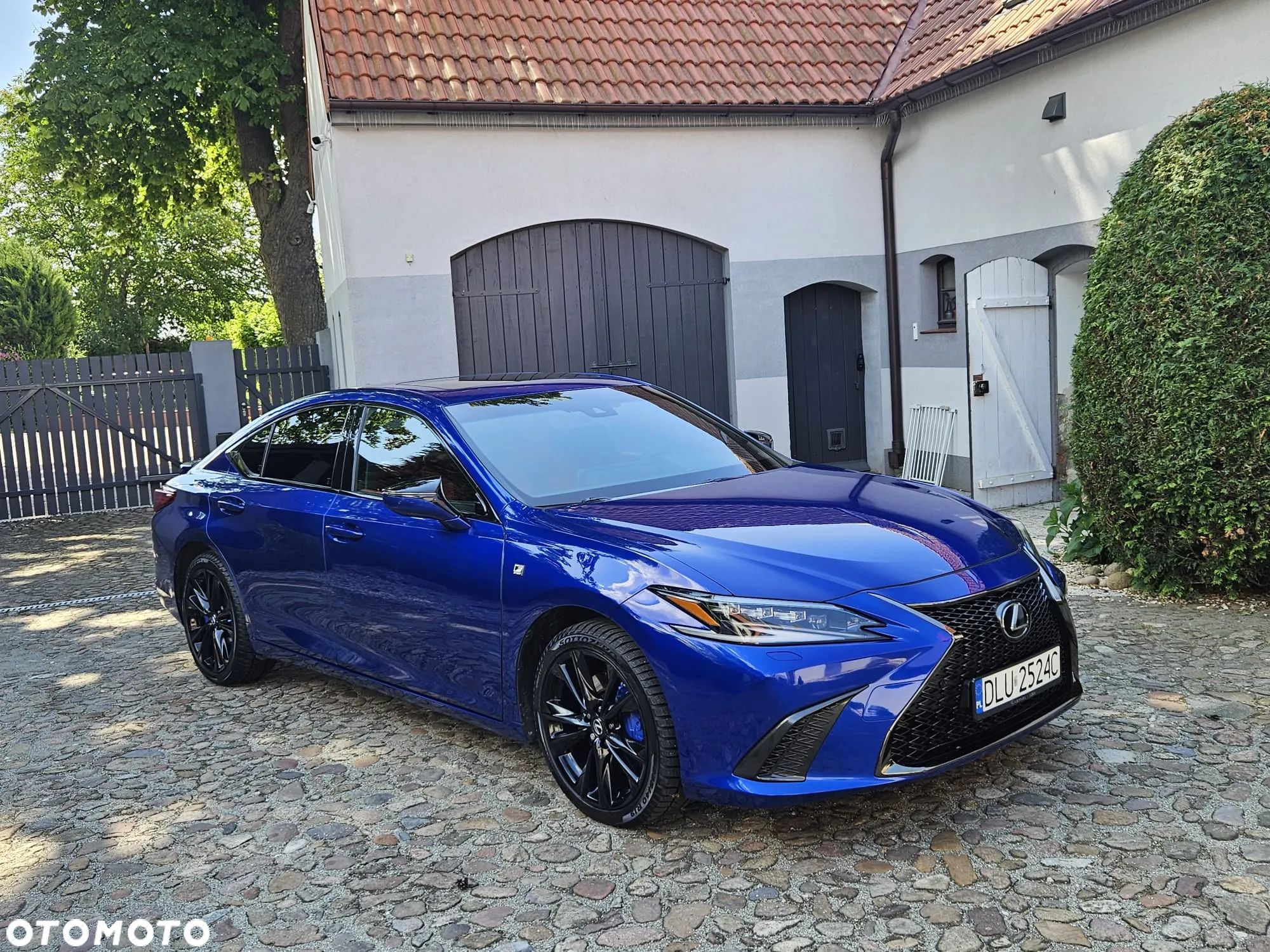 Lexus ES 300h F Sport Edition - 1