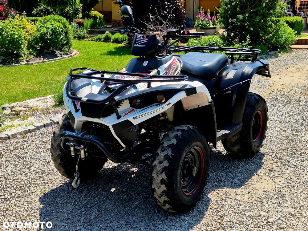 Linhai 300 - 11