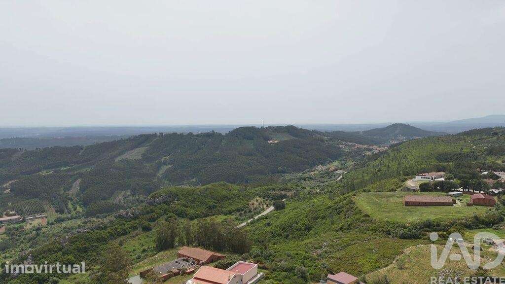 Terreno Agrícola em Rio Maior - Grande imagem: 4/32