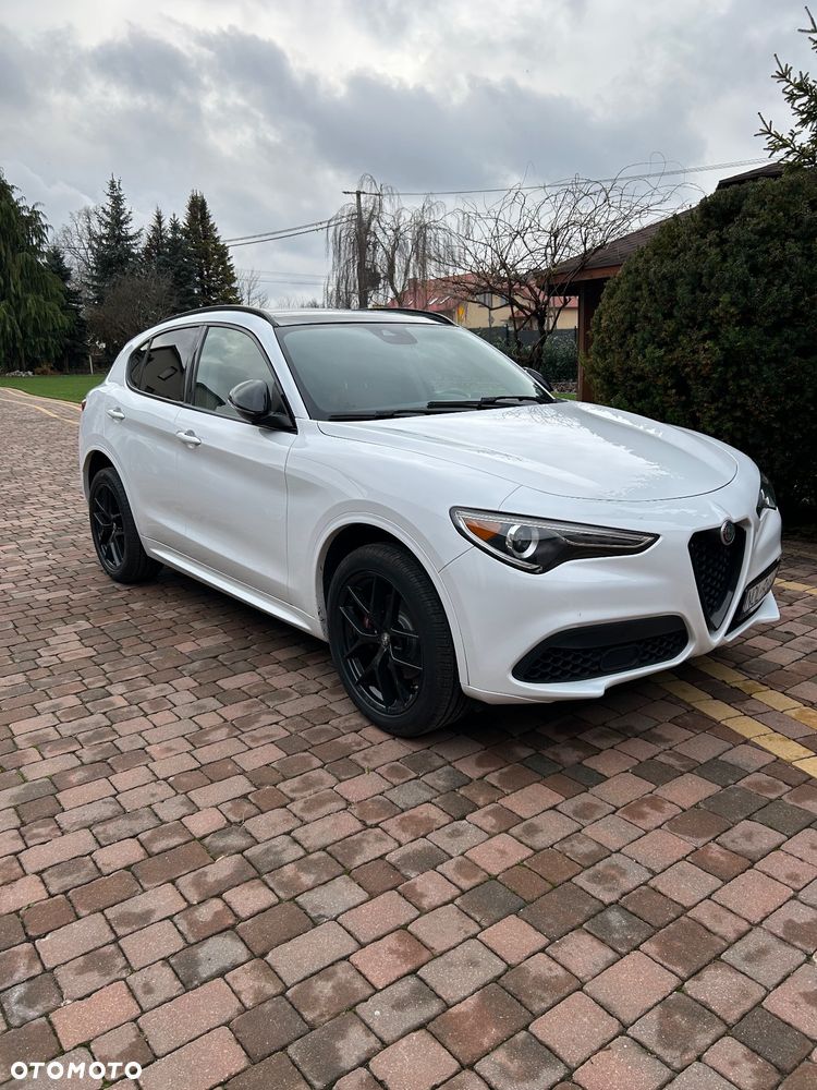 Alfa Romeo Stelvio - 1