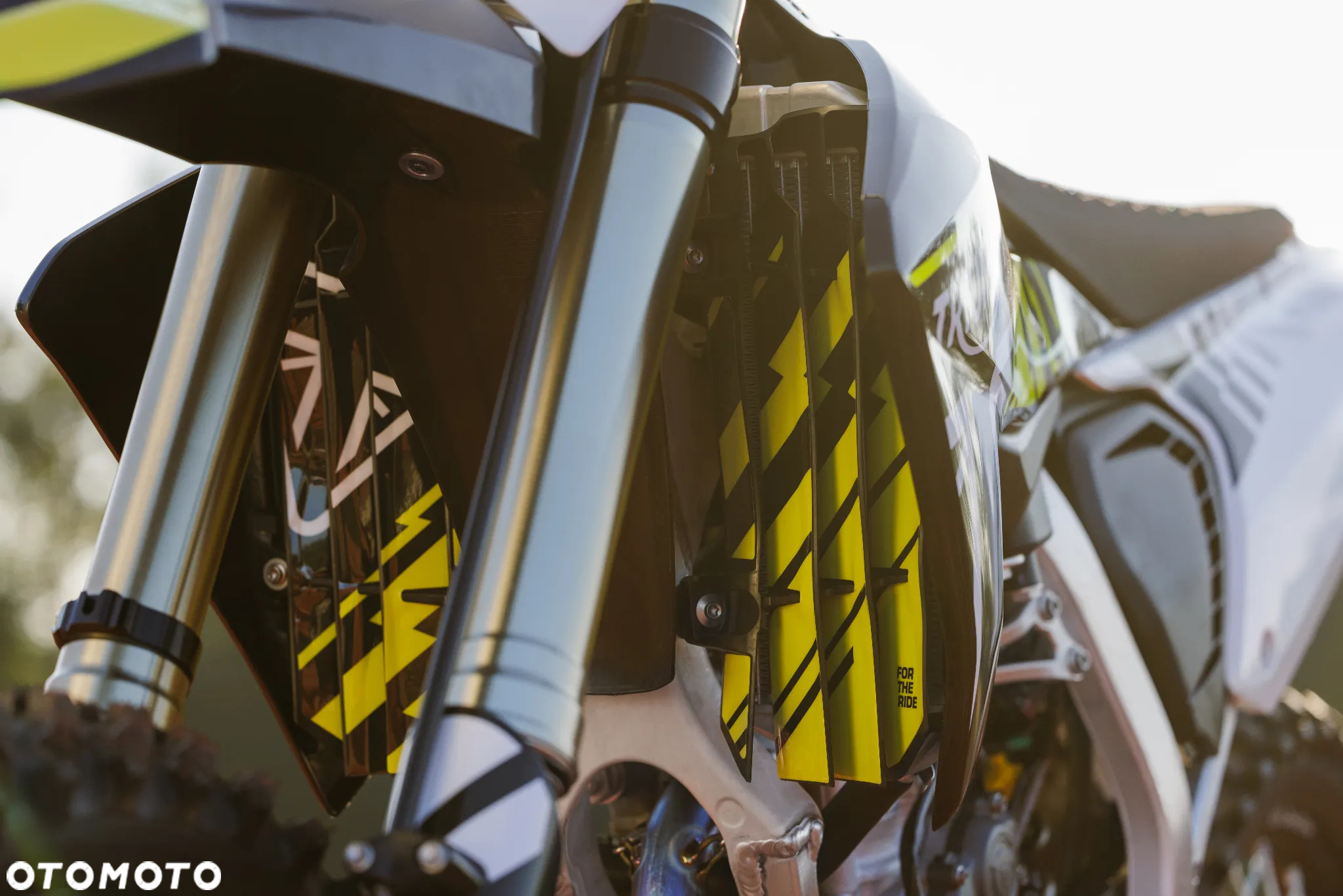Triumph Inny - 4