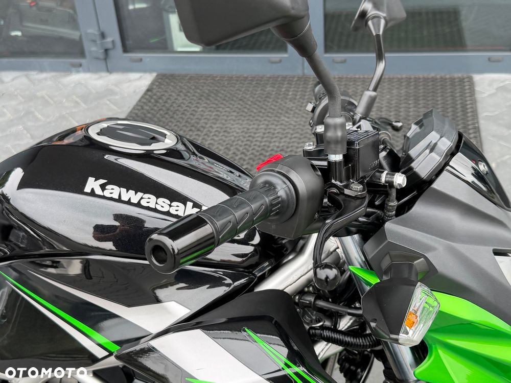 Kawasaki Z - 14