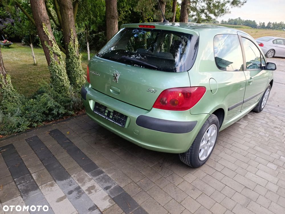 Peugeot 307 110 Grand Filou - 24