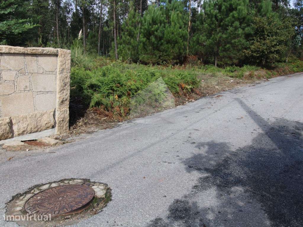 Terreno Misto de 2023m² com Infraestruturas e Ótima Localização - Grande imagem: 2/16