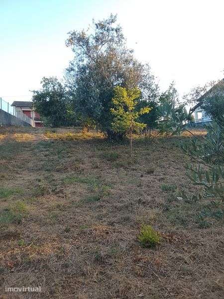 Terreno  Figueira de Lorvao - Grande imagem: 2/4