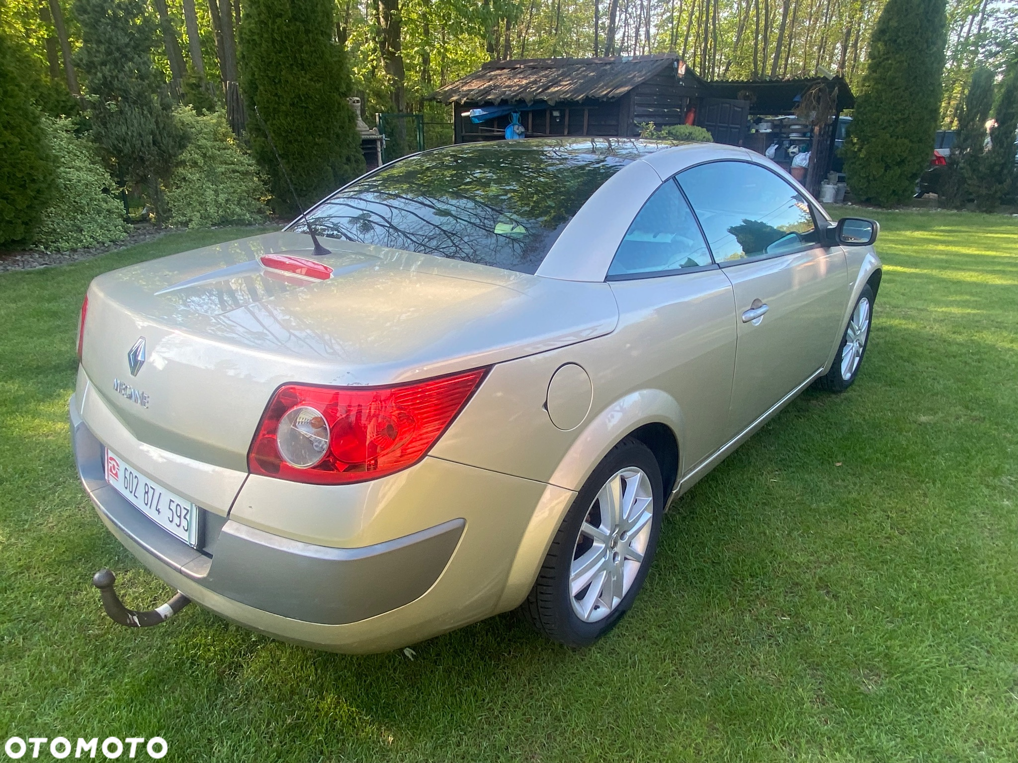 Renault Megane CC 2.0 Luxe Privilege - 11