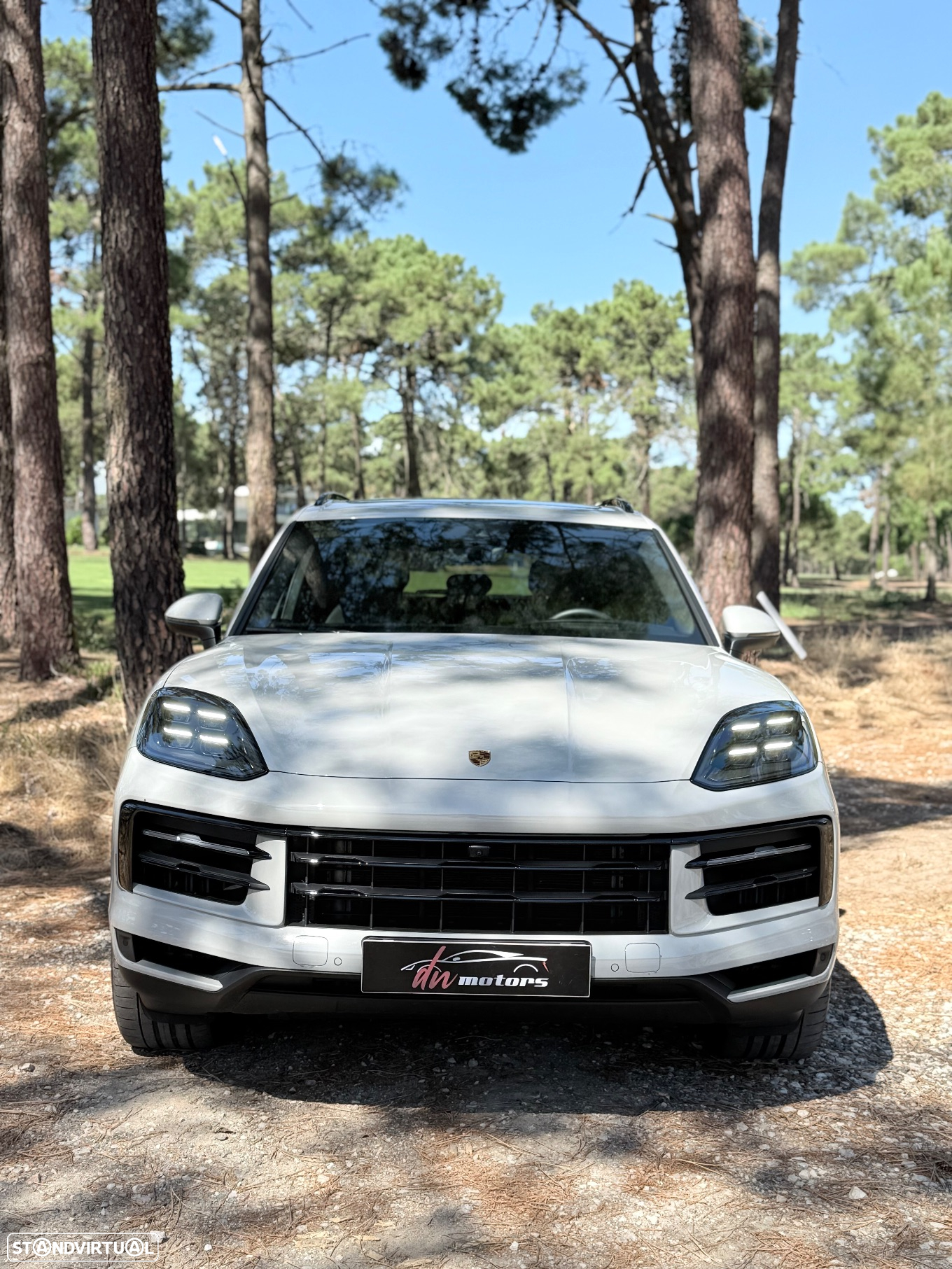 Porsche Cayenne E-Hybrid - 2