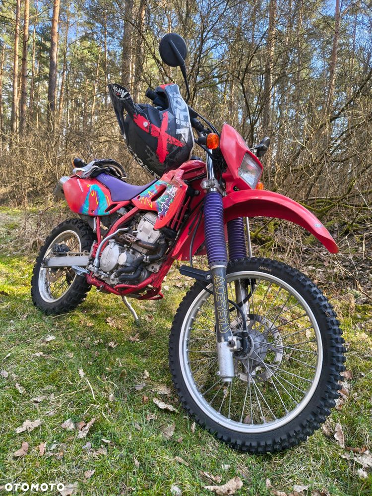 Kawasaki KLX - 1