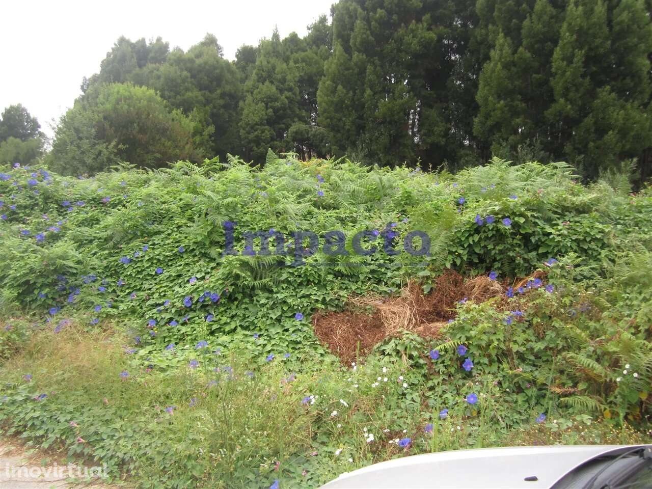 Loteamento em Cucujães, Oliveira de Azeméis - Grande imagem: 5/8