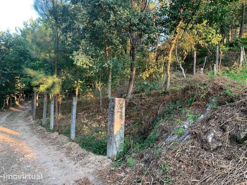Vende-se terreno perto do Gerês - Grande imagem: 2/7