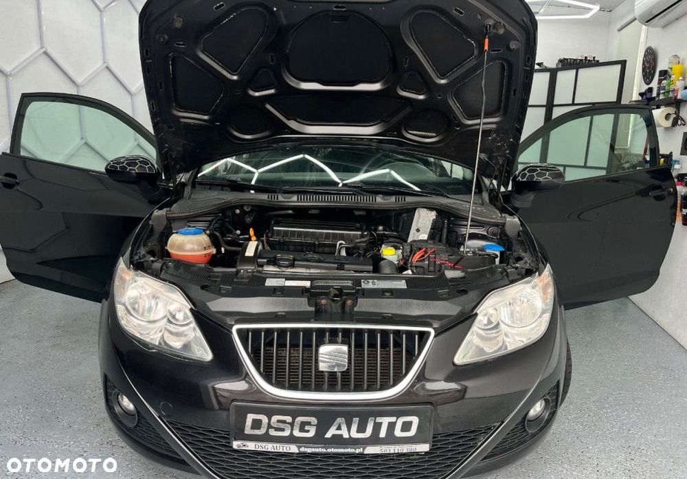 Seat Ibiza - 33