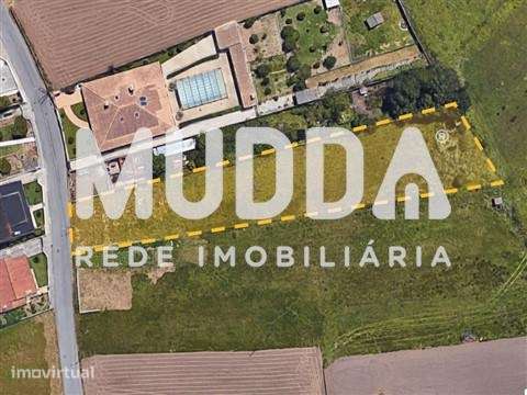 Terreno Urbano + Rústico localizados em Maceda - Grande imagem: 2/3