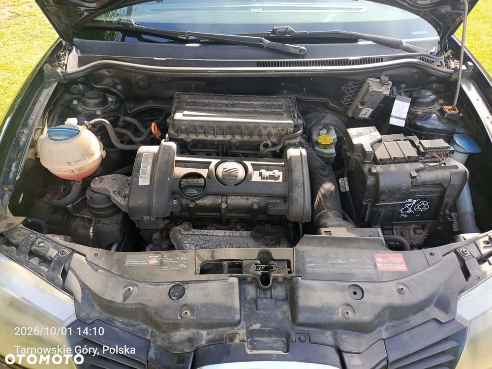Seat Ibiza - 17