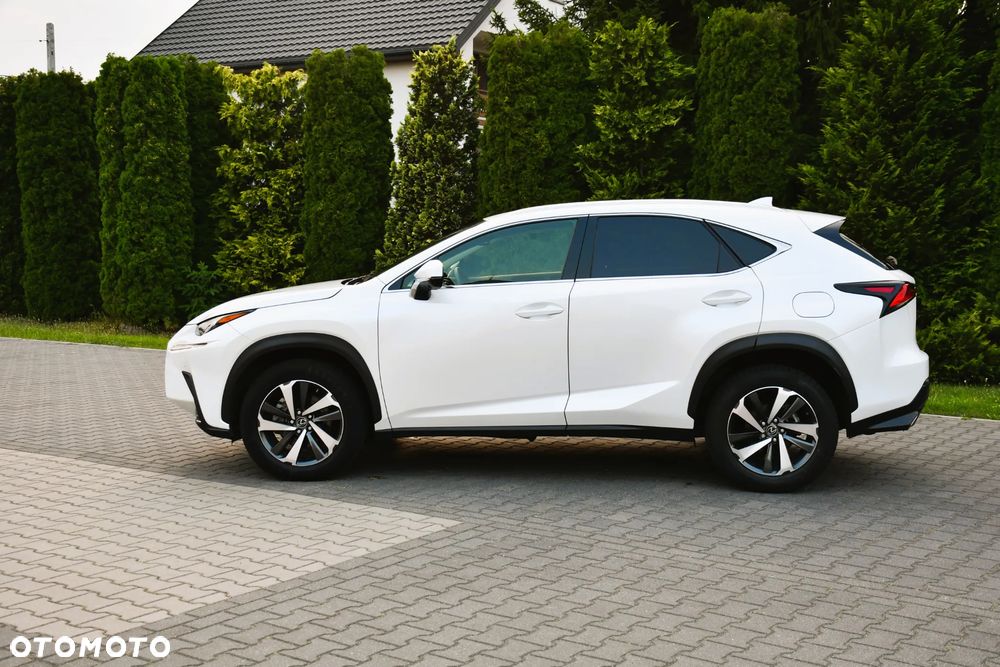 Lexus NX 300 AWD Executive Line - 7