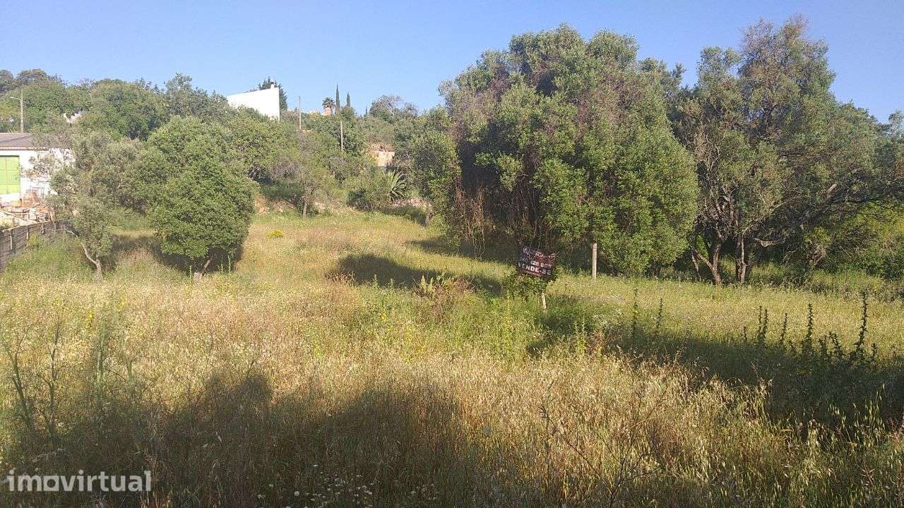 Lote urbano em Loulé para permuta  por imovel no Algarve. - Grande imagem: 4/6