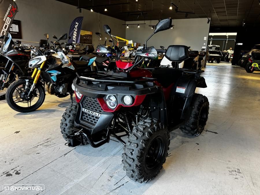 Linhai M 210 EFI 2X4 - 1