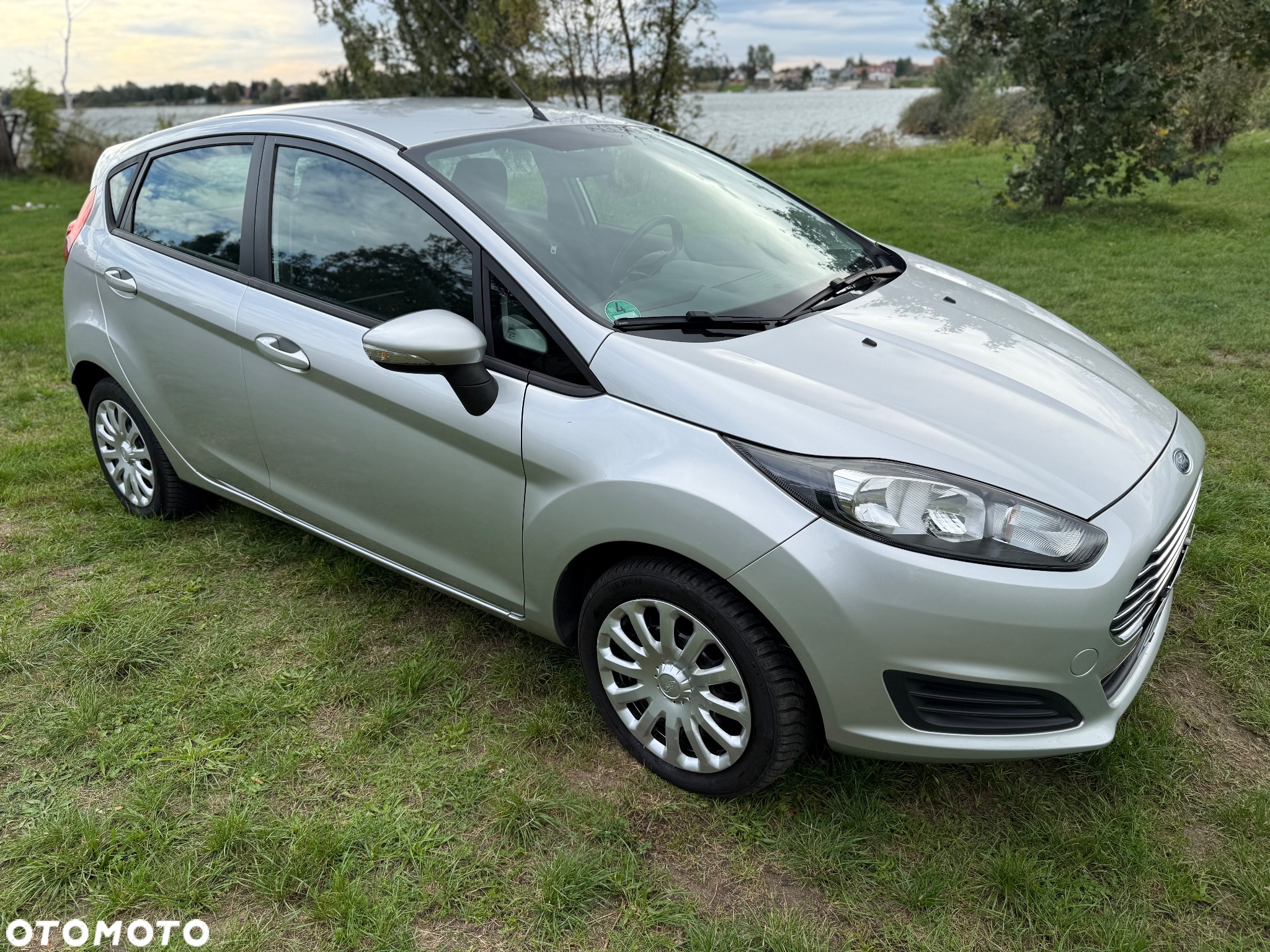 Ford Fiesta 1.25 Silver X (Trend) EU5 - 19