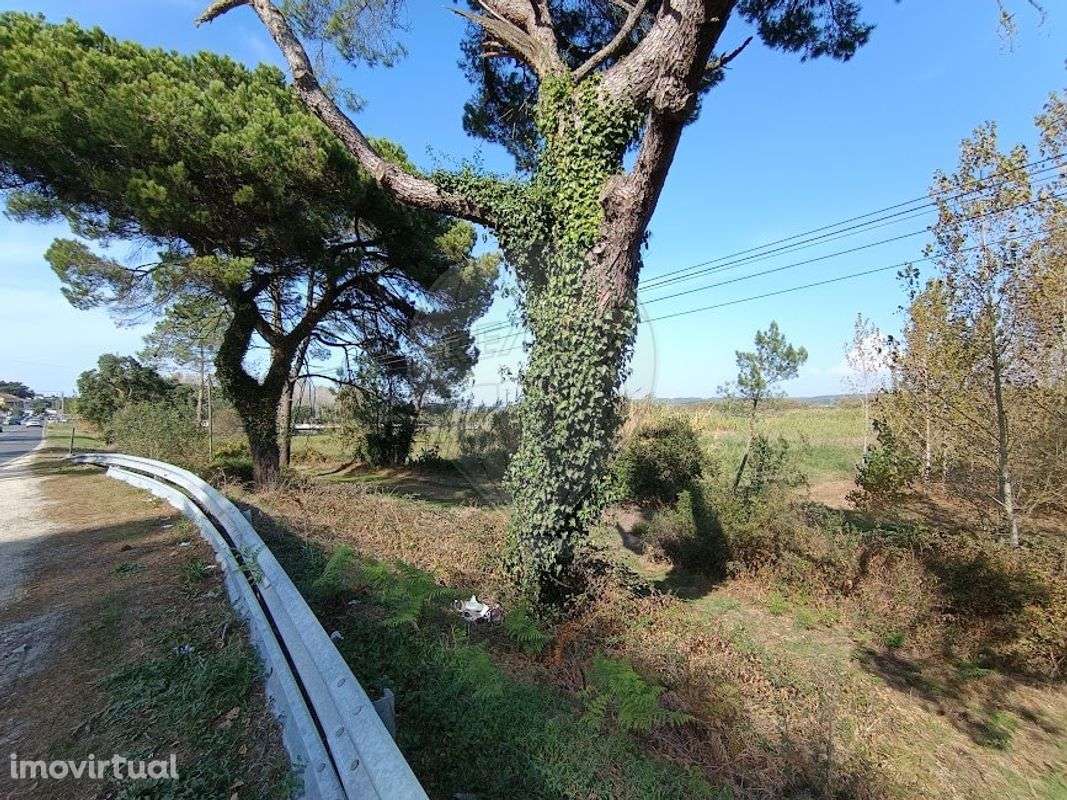 Terreno  para venda - Grande imagem: 2/10