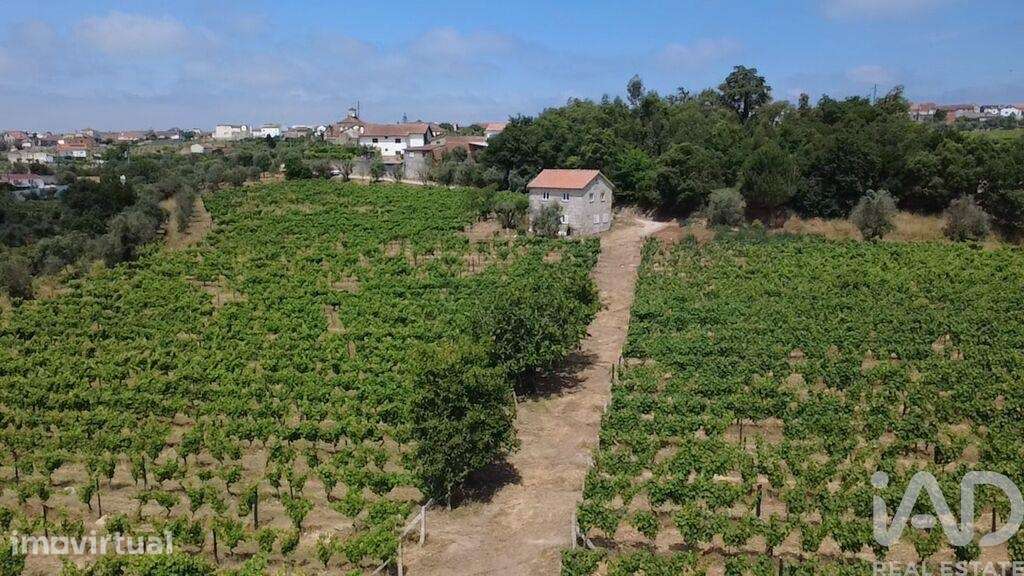 Quinta agricola em Carvalhal Redondo e Aguieira de 52600 m2 - Grande imagem: 3/31