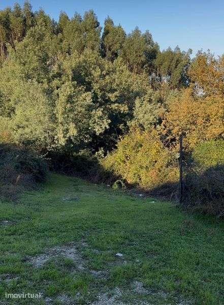 Lote de terreno  Oportunidade - Grande imagem: 4/4
