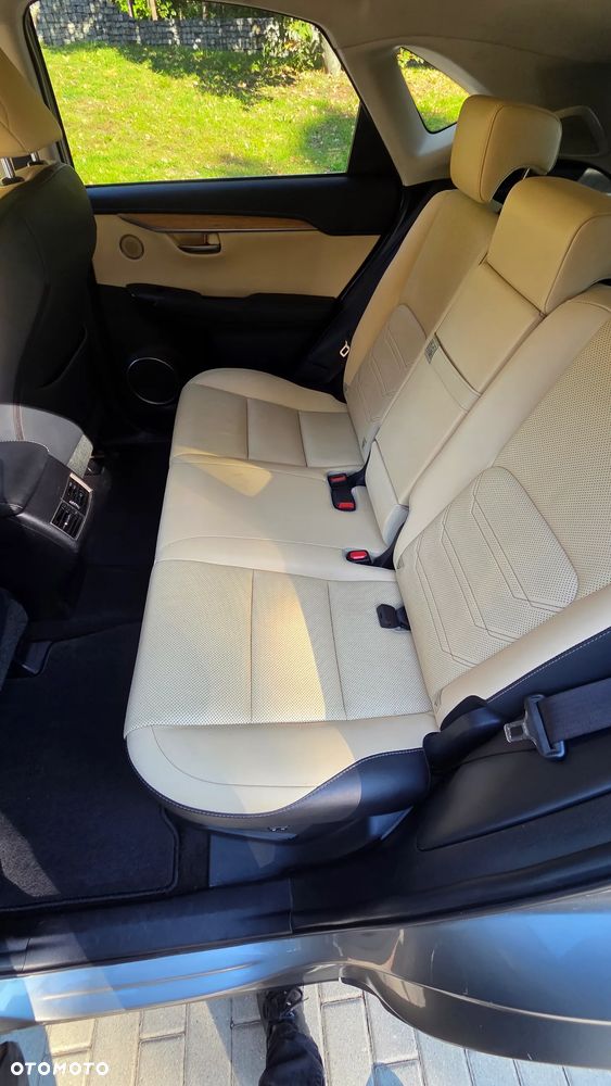 Lexus NX - 26