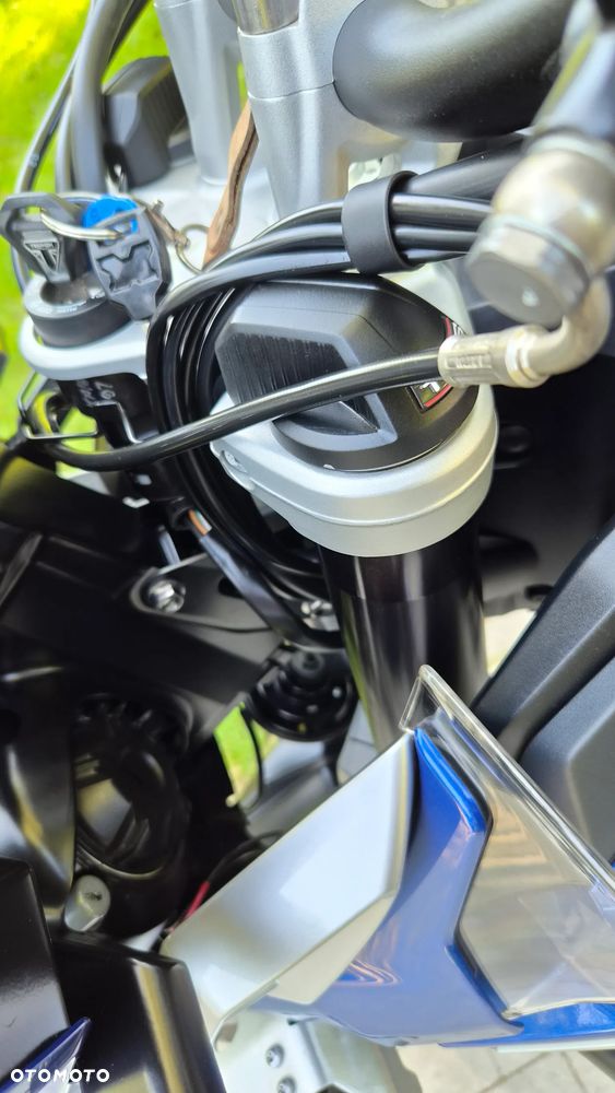 Triumph Tiger - 26