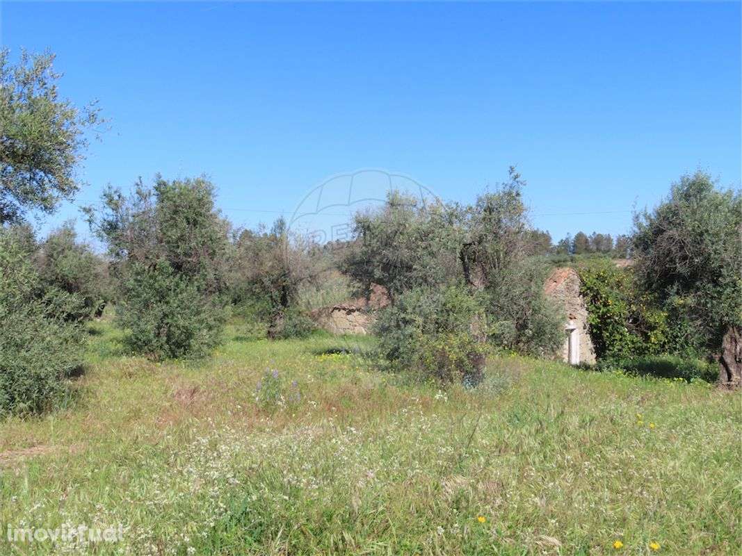 Quinta T2 para venda - Grande imagem: 3/50