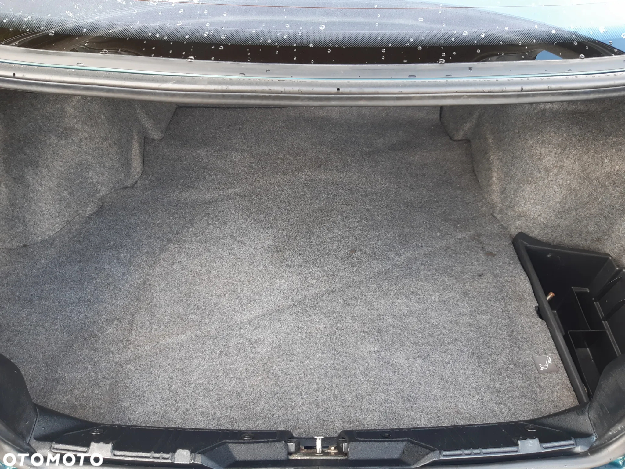 BMW Seria 3 316i - 30