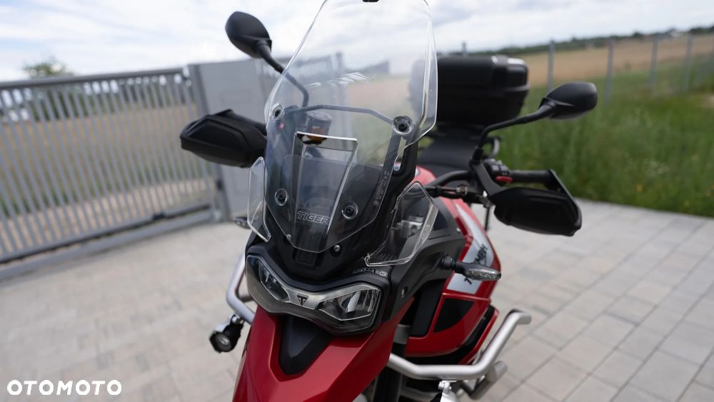 Triumph Tiger - 11
