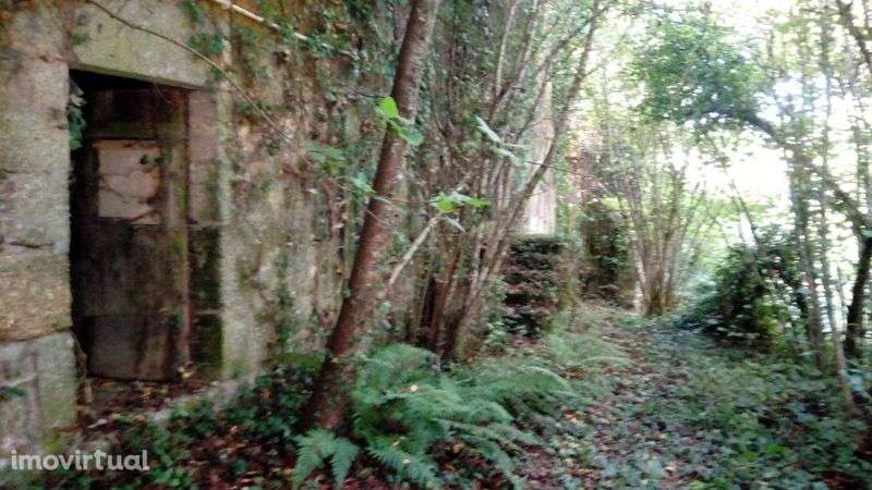Quinta da Póvoa da Medronhosa, Repeses e São Salvador, Viseu - Grande imagem: 2/11