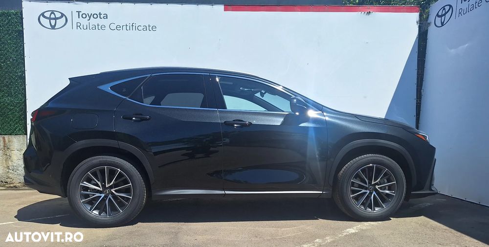 Lexus Seria NX 450h+ AWD CVT PHEV Executive - 19
