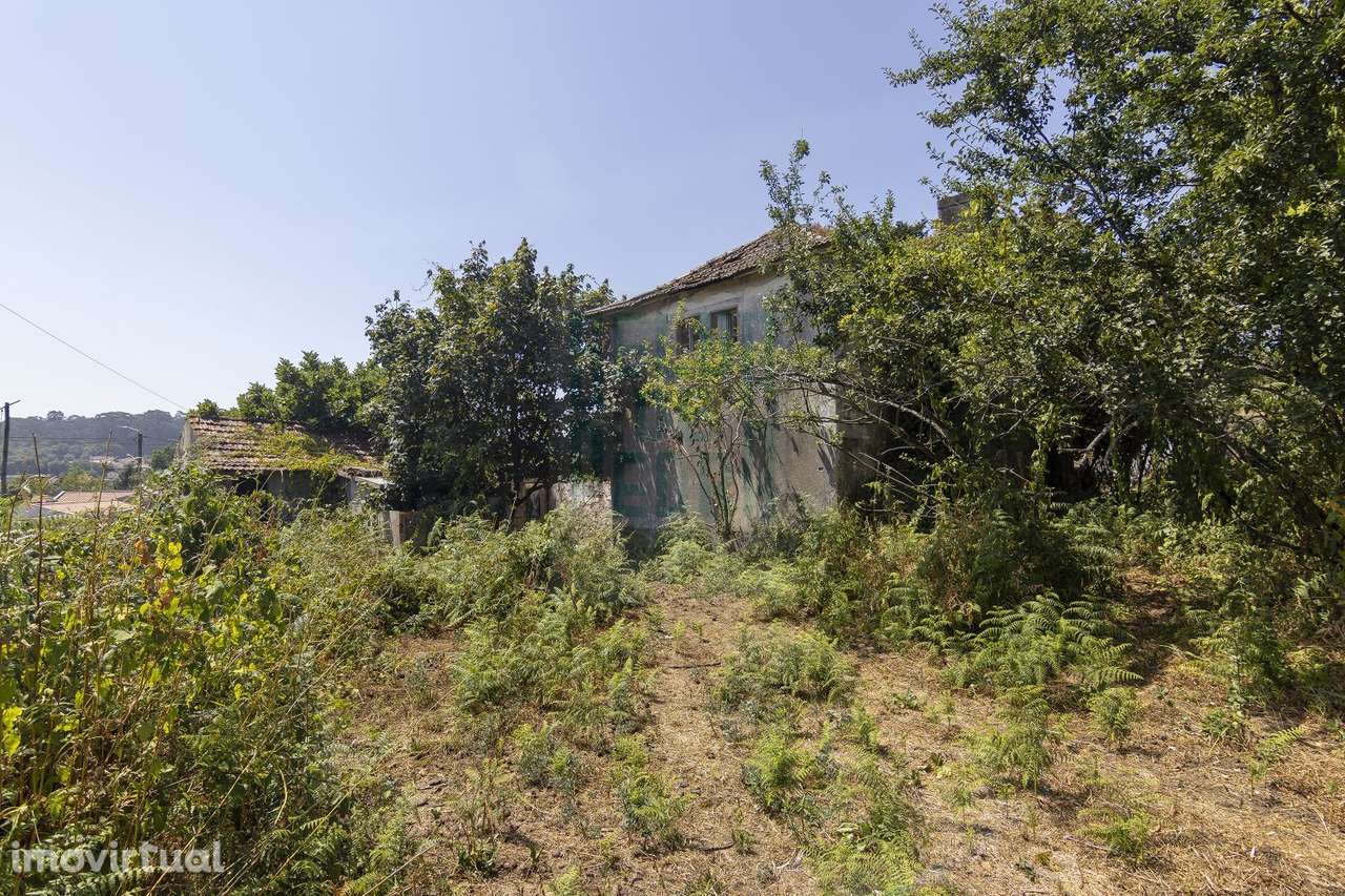 Quinta rustica em Paços de Ferreira - Grande imagem: 3/7