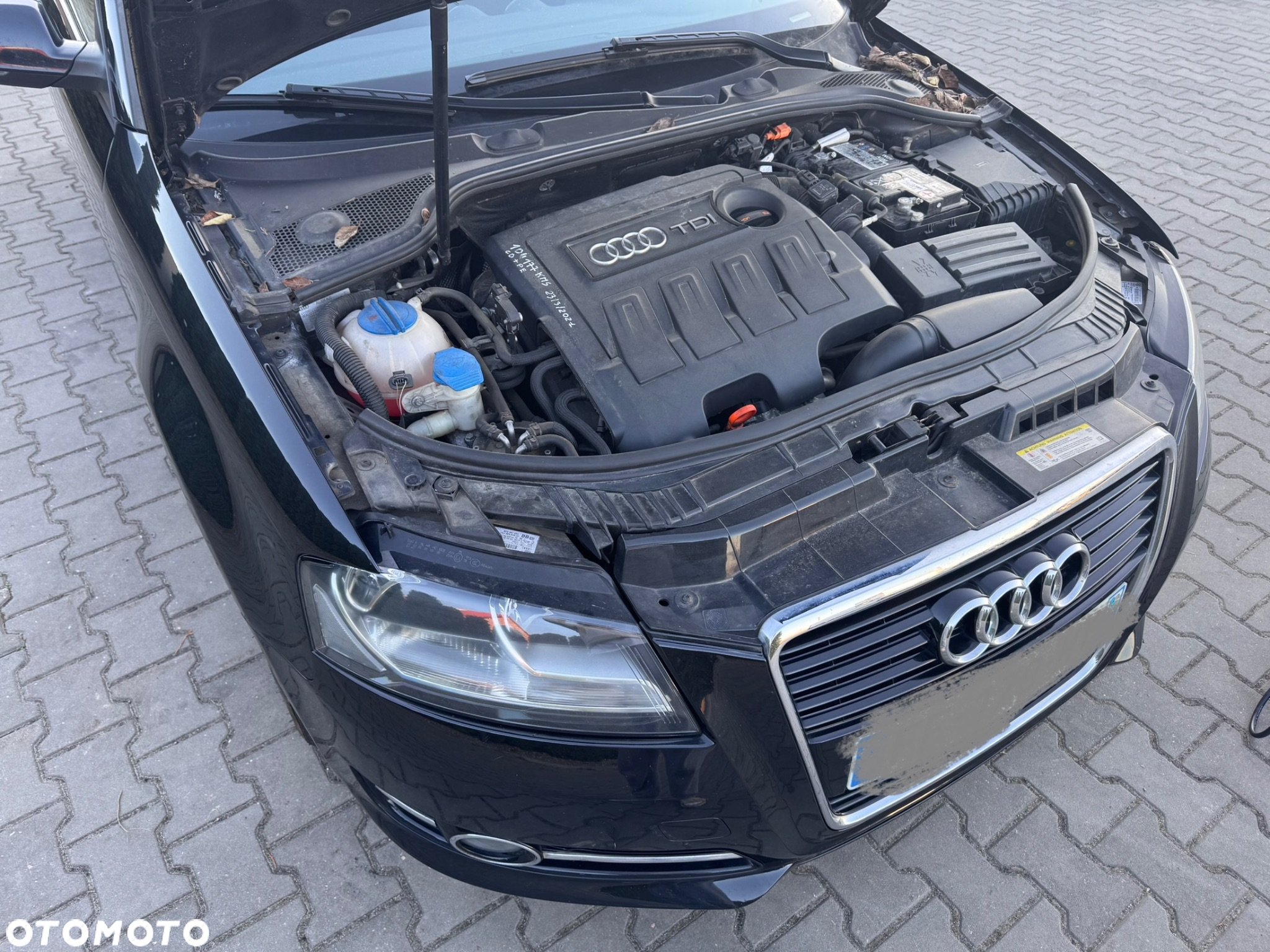 Audi A3 1.6 TDI Ambiente - 19