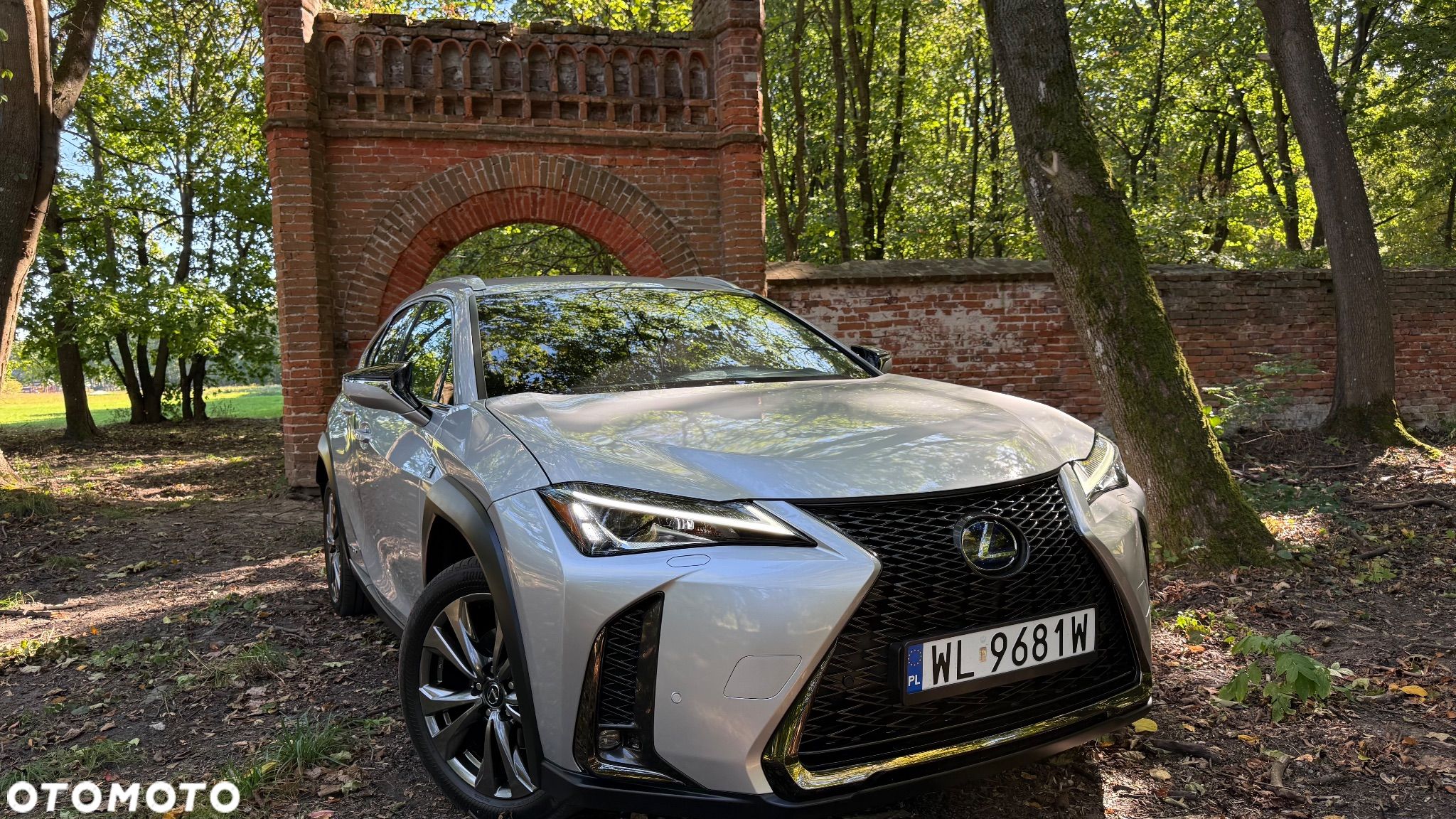 Lexus UX 250h GPF F Sport Edition 2WD - 1