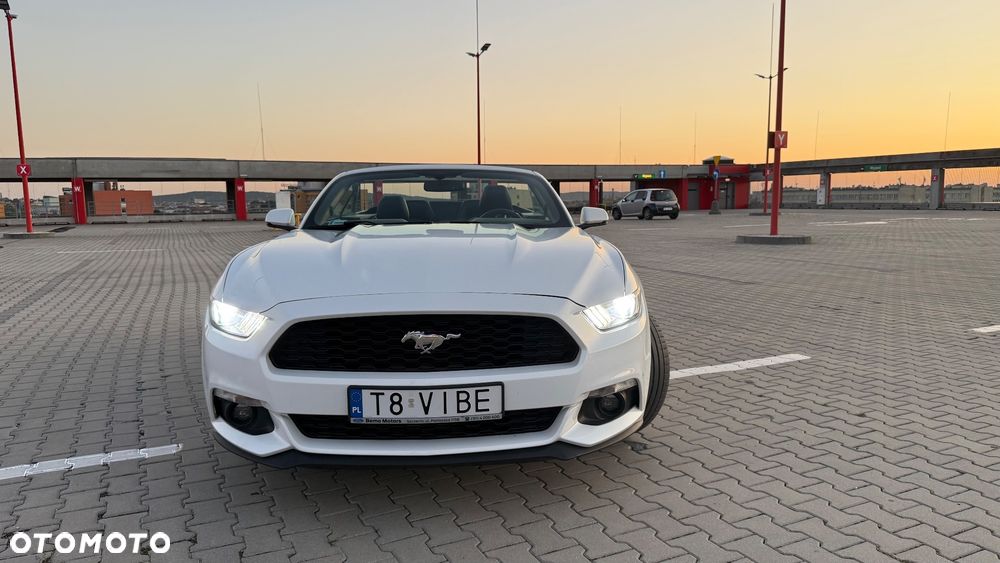 Ford Mustang - 32