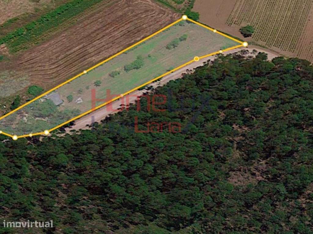 Terreno c/ 1 770 m2 de área e 100 m de frente p/ construção em Trav... - Grande imagem: 2/10