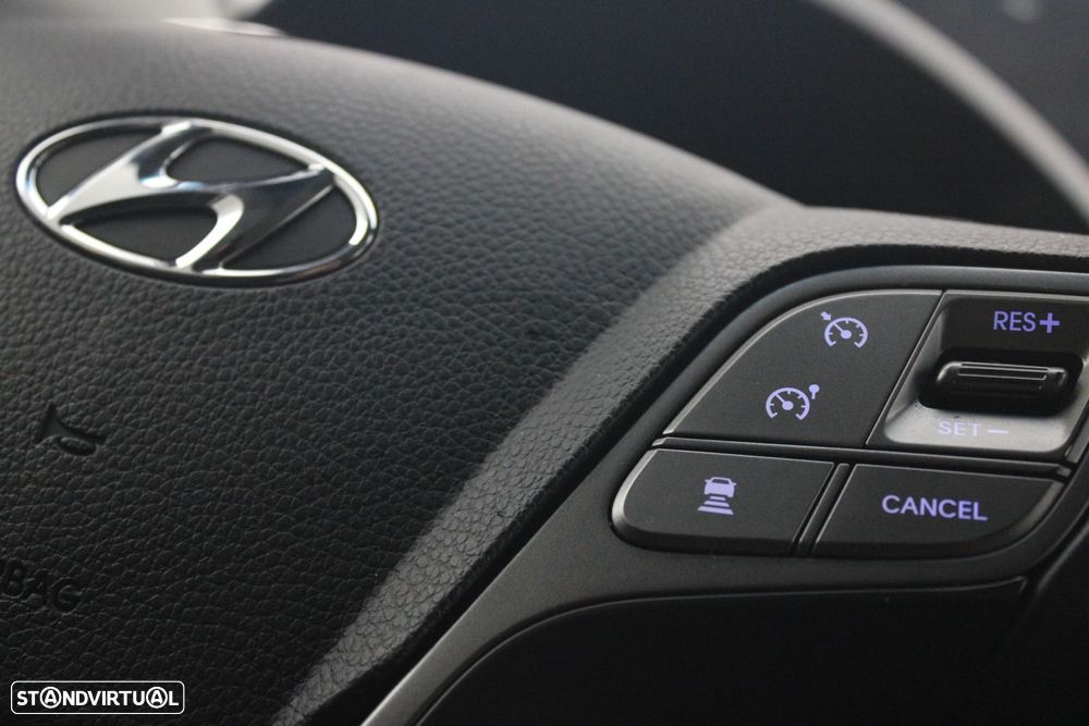 Hyundai Santa Fe 2.2 CRDi Premium Aut. - 12