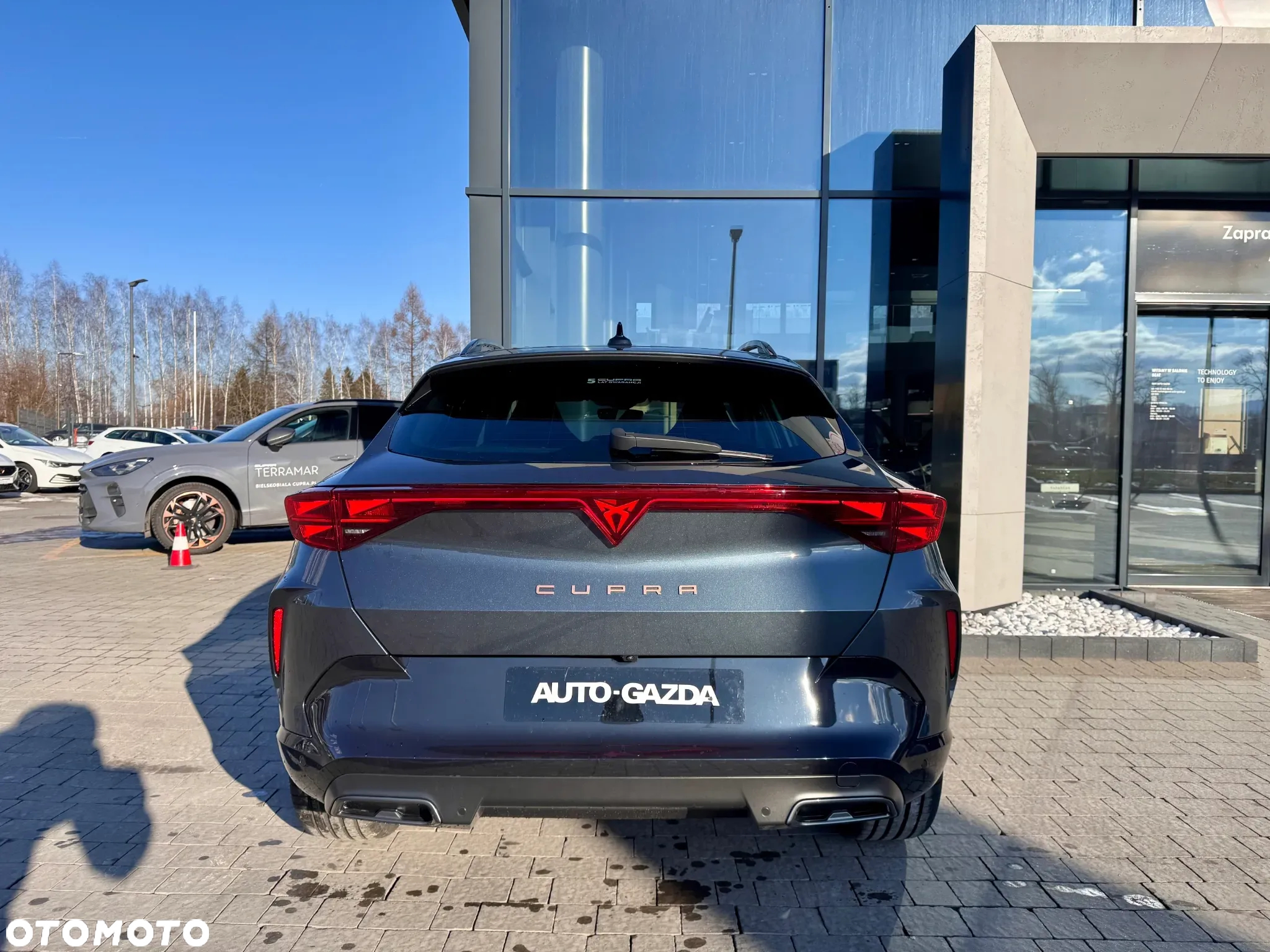 Cupra Formentor 1.5 eTSI mHEV DSG - 8