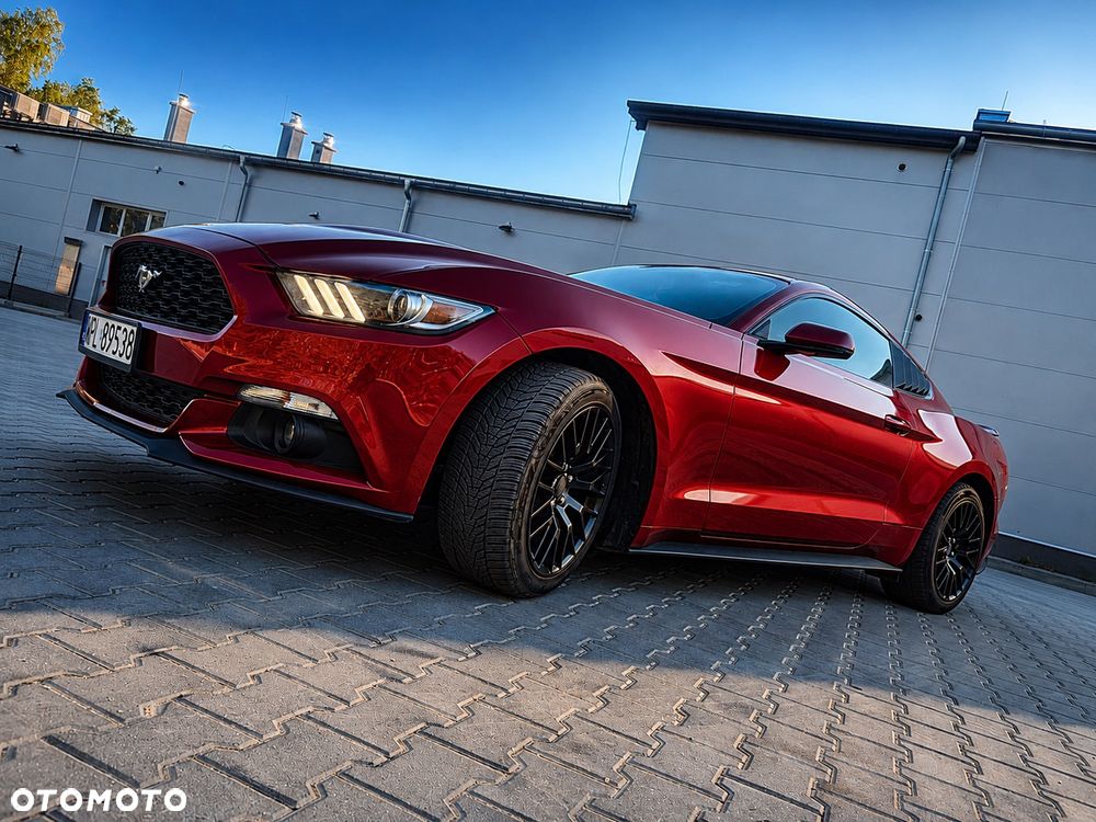 Ford Mustang - 8