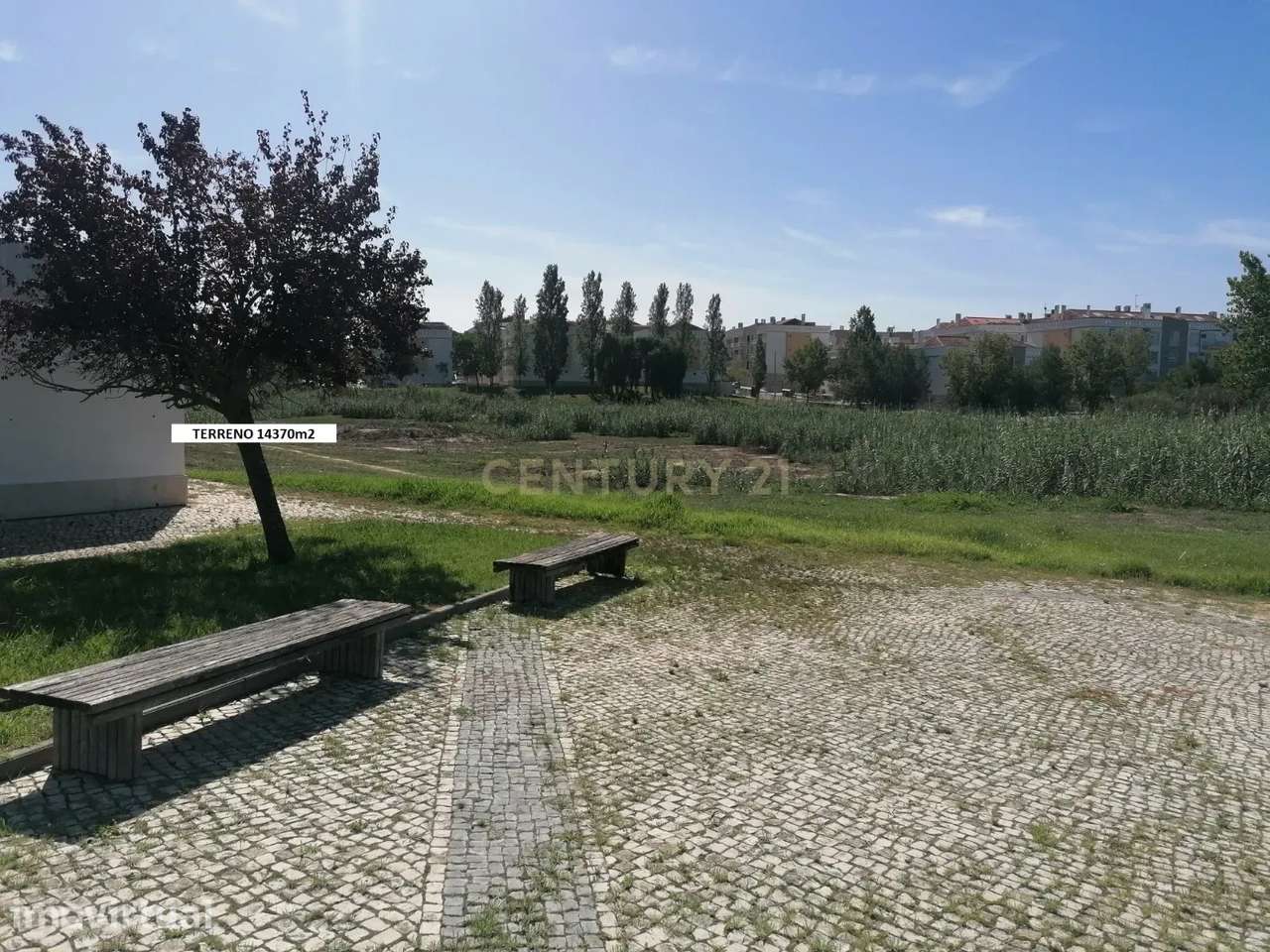 Terreno Rústico Quinta de S. João Palhais - 14370m2 - Grande imagem: 2/6