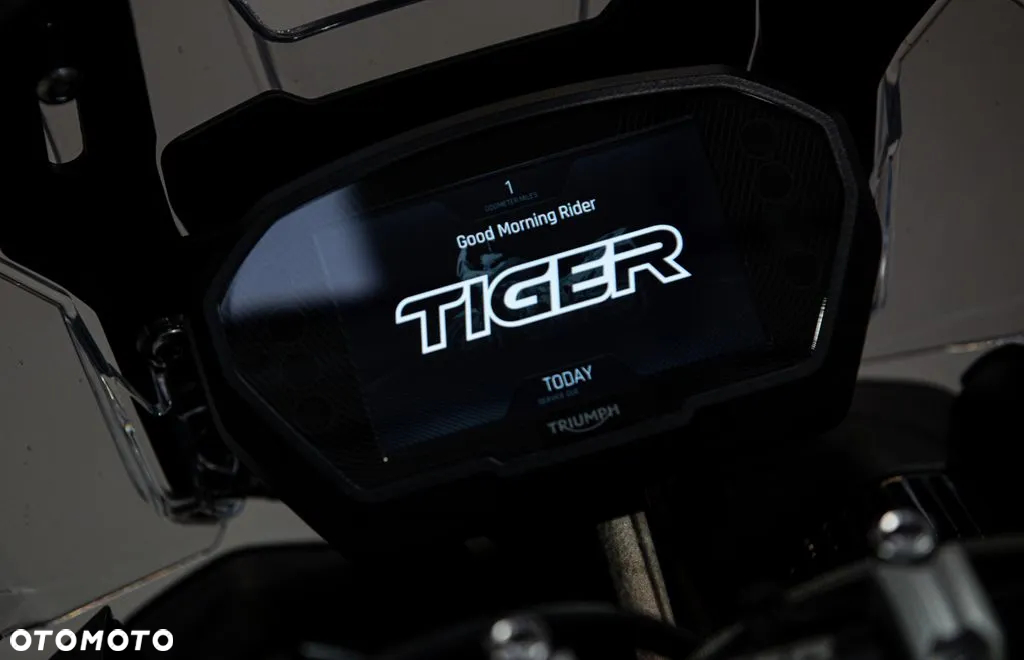 Triumph Tiger - 20