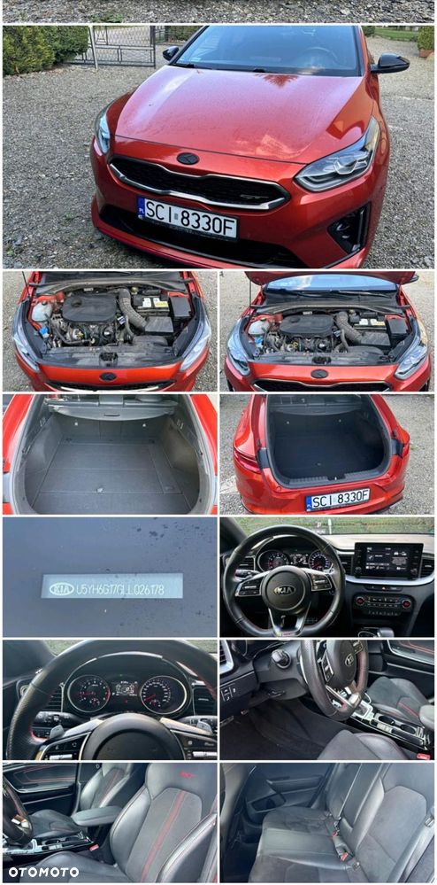 Kia ProCeed - 18