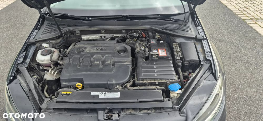 Volkswagen Golf - 23