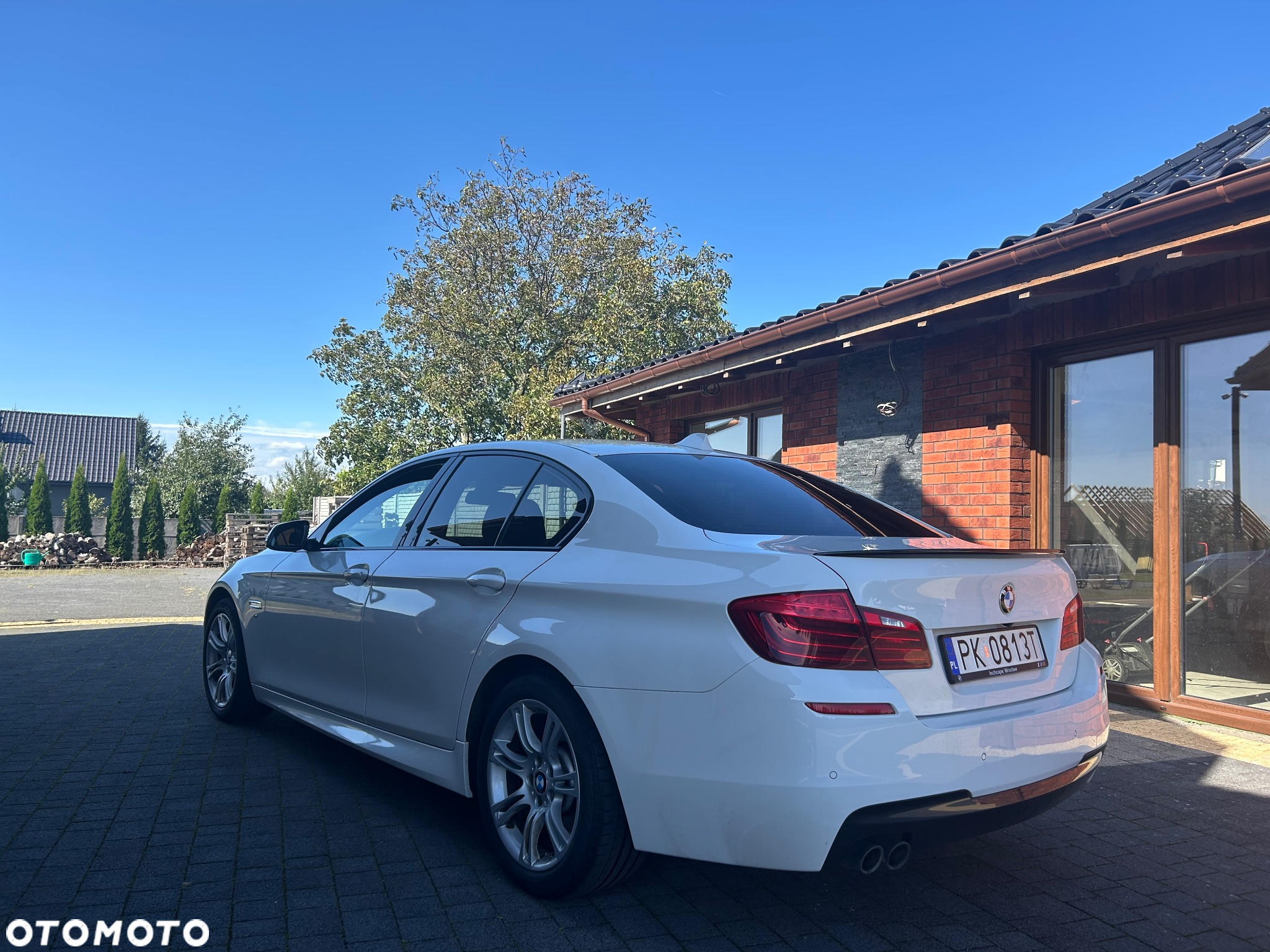 BMW Seria 5 520d xDrive - 17