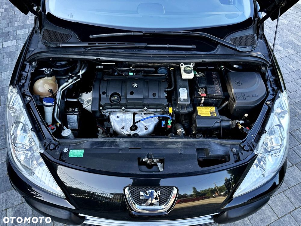 Peugeot 307 110 Premium - 15