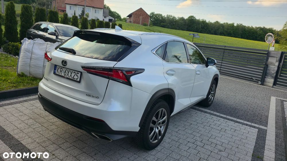 Lexus NX 300 Business Edition AWD - 15
