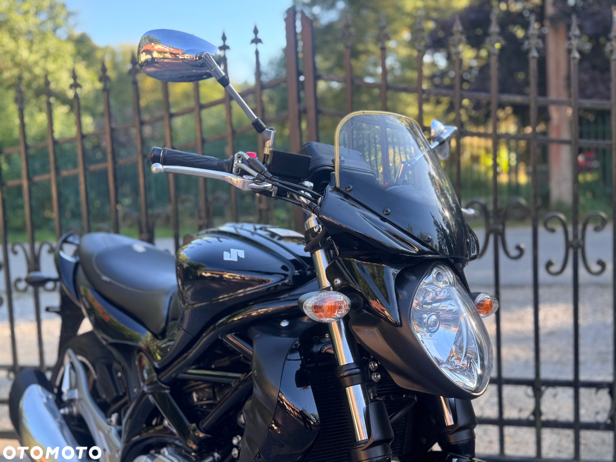 Suzuki Gladius - 11