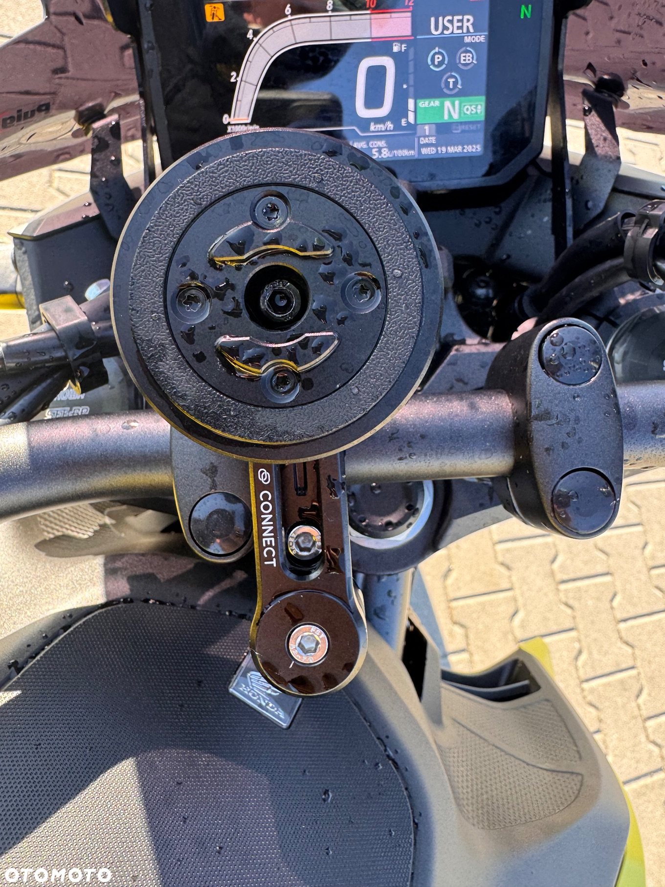 Honda Hornet - 12