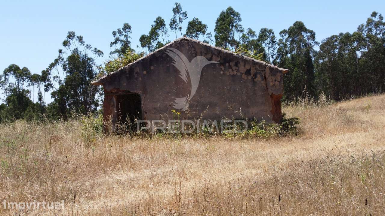 Herdade 53 Hectares Projeto Aprovado 10 Minutos da Costa Vicentina - Grande imagem: 2/24