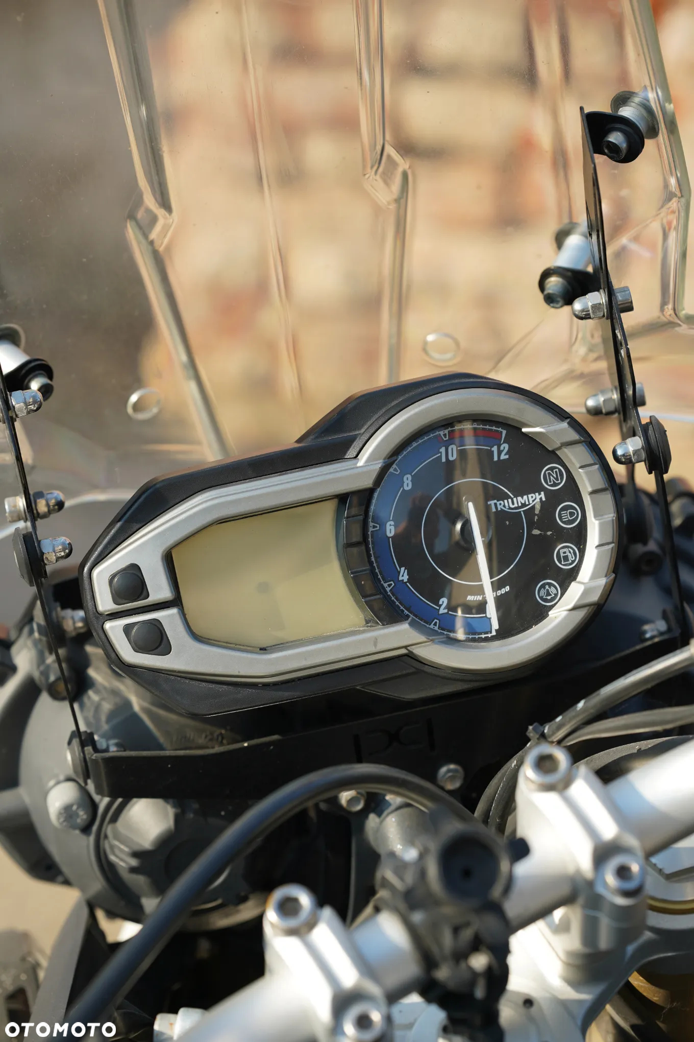 Triumph Tiger - 21